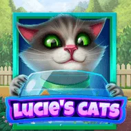 Lucie's Cats