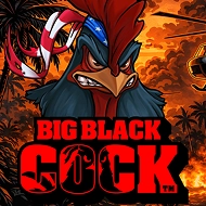Big Black Cock